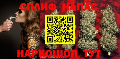 прущие грибы Краснознаменск